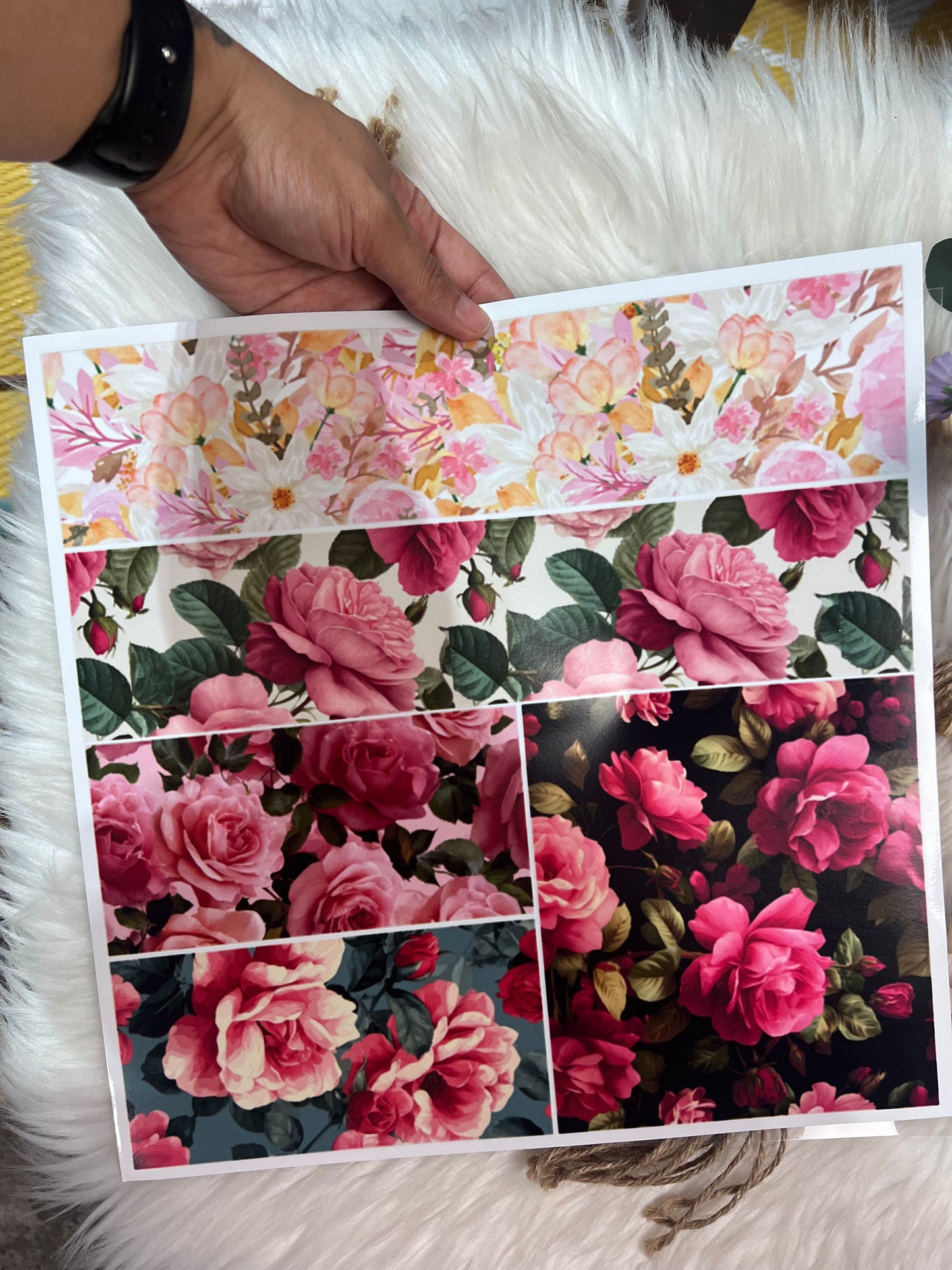 Bloom babe bundle