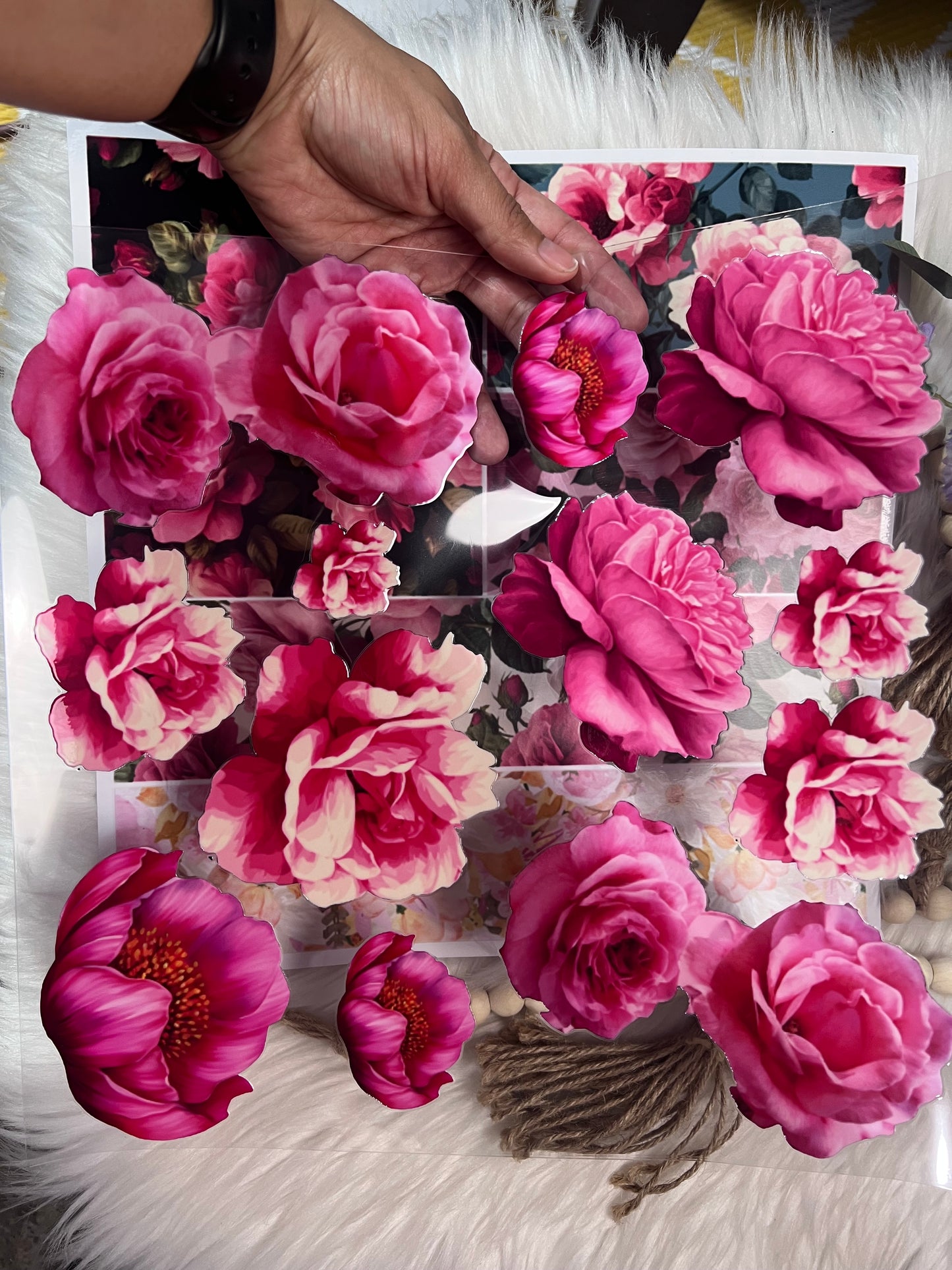 Bloom babe bundle