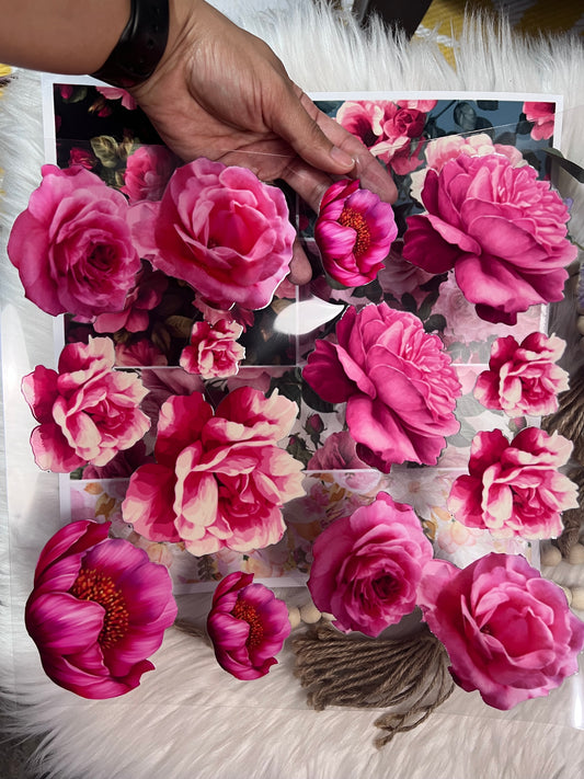 Bloom babe bundle