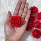 3D Printed Large Roses Add-on for Tumblers | PLA Accent | Custom Tumbler Embellishment